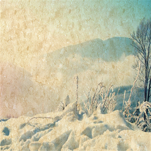 02.jpg