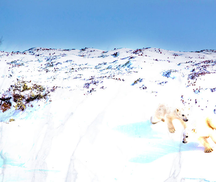 _0000_wallhaven-341595.jpg