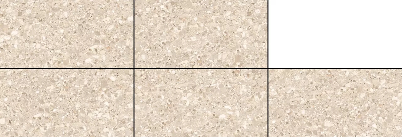 XPY61241M.jpg