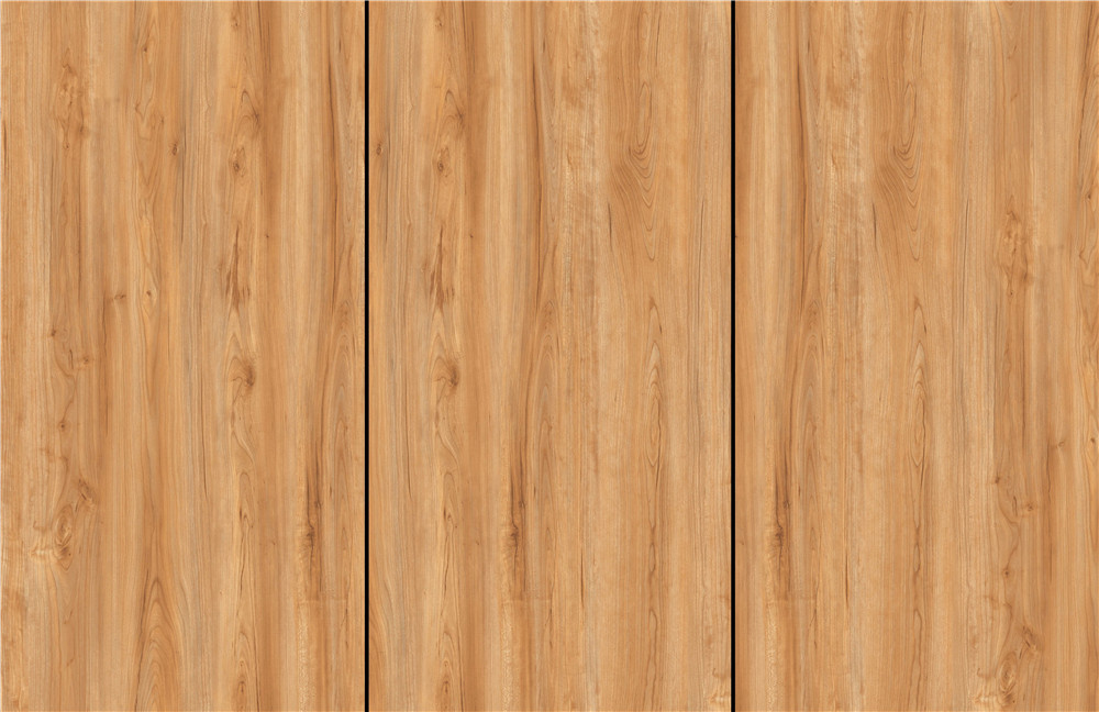 XDZ816F01W.jpg